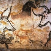 ΟΥΡΟΣ ΠΡΟΪΣΤΟΡΙΑ ΒΟΟΕΙΔΗ ΑΓΕΛΑΔΑ