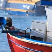 ΚΑΛΥΜΝΟΣ ΝΕΚΡΟΣ ΨΑΡΑΣ ΣΥΛΛΗΨΗ