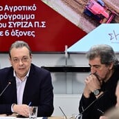 ΦΑΜΕΛΛΟΣ ΠΟΛΑΚΗΣ ΔΙΑΓΡΑΦΗ ΣΥΡΙΖΑ