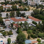 ΔΑΦΝΙ ΣΤΡΑΓΓΑΛΙΣΜΟΣ 