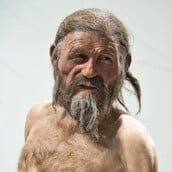 ΑΝΘΡΩΠΟΣ ΤΩΝ ΠΑΓΩΝ OTZI ΨΩΜΙ
