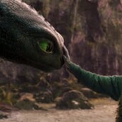 How to Train your Dragon
