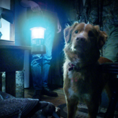 GOOD BOY