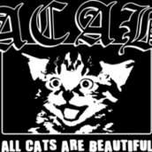 ACAB (all cats are beautiful)