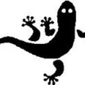 Der Salamander