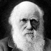 GEORGE S.