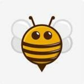 honey bunch