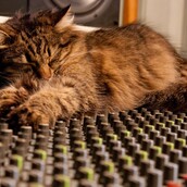 lidiaudio