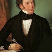 LilSchubert