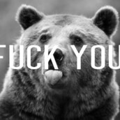 o_glyki_mou_bear 