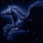 Pegasus