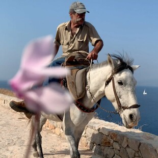 Moving On: Το νέο βίντεο κλιπ από το μεταθανάτιο άλμπουμ του Λέοναρντ Κοέν έχει γυριστεί στην Ύδρα