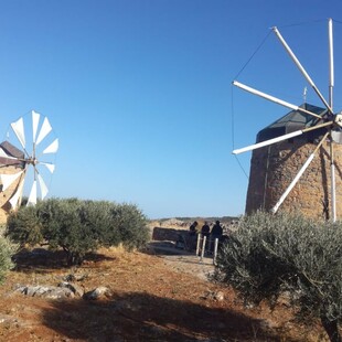 Ζευγάρι Αυστριακών έδωσε ξανά ζωή στους παλιούς μύλους στο Μεραμπέλο