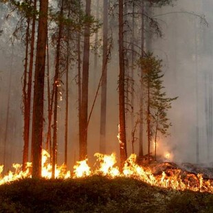Η ξηρασία απειλεί την Ευρώπη πριν μπει το καλοκαίρι