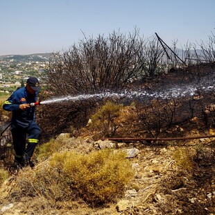 Συνελήφθη η 72χρονη που είχε προσαχθεί για την πυρκαγιά στα Σπάτα - Πώς ξεκίνησε η φωτιά