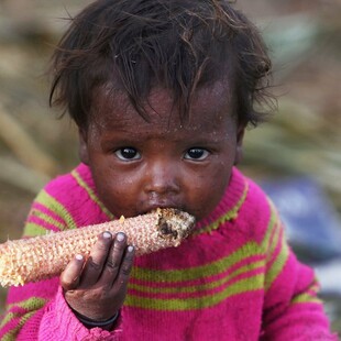 Unicef: Ένα στα τρία παιδιά είναι υποσιτισμένο ή υπέρβαρο - Σοκάρουν τα στοιχεία