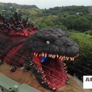 Άγαλμα του Γκοτζίλα στο «πραγματικό του μέγεθος» σε πάρκο της Ιαπωνίας [BINTEO]