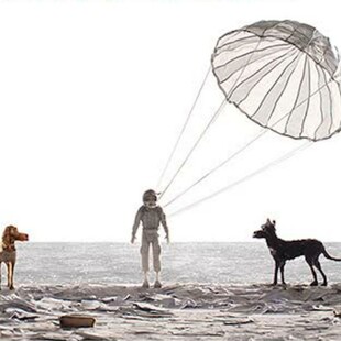 Isle of Dogs: Η καινούρια ταινία του Wes Anderson έχει πλέον αφίσα και ημερομηνία κυκλοφορίας