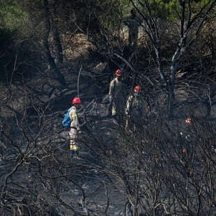 Πυρκαγιά στο Λαγονήσι: Ελεύθερος ο 76χρονος συλληφθείς