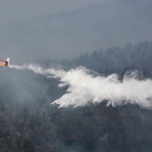 Φωτιά στη Μάνδρα: Σε δάσος του Κιθαιρώνα το μέτωπο της πυρκαγιάς
