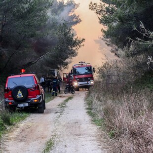 Αυλώνας: Ένας νεκρός μετά από πυρκαγιά