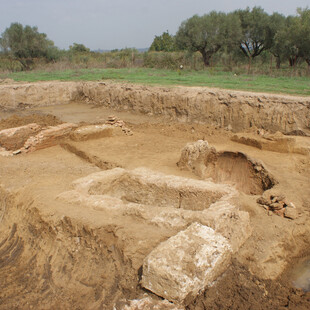 Ηλεία: Αποκάλυψη 8 τάφων σε ανασκαφή -Τμήμα της δυτικής νεκρόπολης της αρχαίας πόλης της Ήλιδος