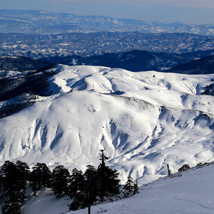 Γρεβενά: Συλλήψεις και πρόστιμα σε σκιέρ, μετά τη χιονοστιβάδα που τραυμάτισε 27χρονο