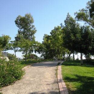 Αυτό είναι το Μητροπολιτικό Πάρκο Γουδή, ο μοναδικός, μεγάλος, ελεύθερος, δημόσιος χώρος στην Αθήνα