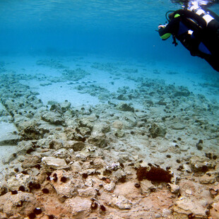 Ο βυθισμένος προϊστορικός οικισμός στο Παυλοπέτρι επισκέψιμος για υποβρύχιες διαδρομές