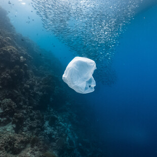 WWF: Σοκαριστικά στοιχεία για τα πλαστικά στη Μεσόγειο – 570.000 τόνοι καταλήγουν στη θάλασσα