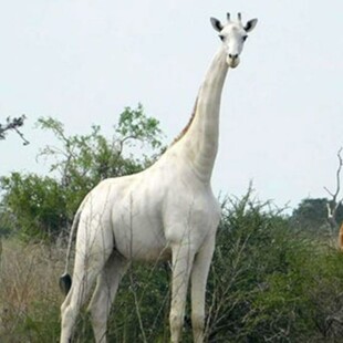 Να μη συμβεί αυτό που όλοι φοβόμαστε