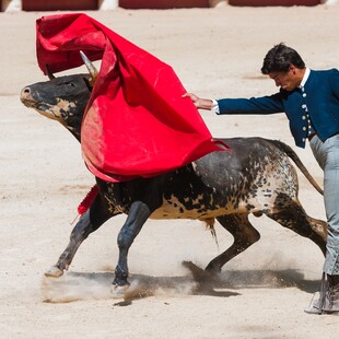 Madrid to host charity bullfight for matadors left jobless by COVID-19