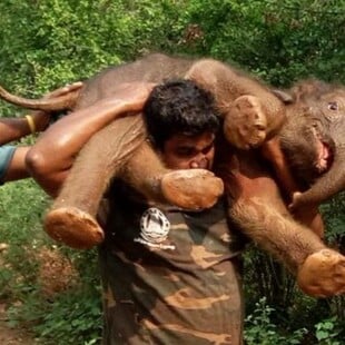 Palanichamy Sarathkumar