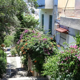 «Η γειτονιά μου σε μια βόλτα»: Φέτος, γινόμαστε «ΤΡΟΥ ΛΟΚΑΛΣ»