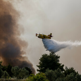 WWF: Η πρόληψη σώζει τα δάση, αλλά τα κονδύλι πηγαίνουν στην καταστολή των πυρκαγιών