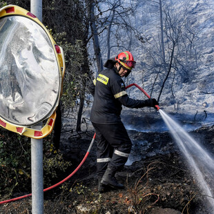 Φωτιά στο Σχίνο: Κομμένο ιδιωτικό δασικό δρόμο βρήκαν οι πυροσβέστες- Έκαναν κύκλο 5 χιλιομέτρων