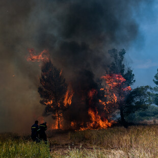 Περιφερειακό Συμβούλιο Αττικής: Να κηρυχτεί άμεσα αναδασωτέα η περιοχή των Γερανείων μετά την φωτιά