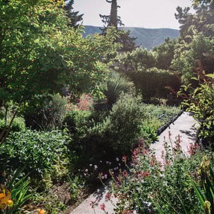 Σε έναν κήπο-παράδεισο μεσογειακών φυτών στην Παιανία