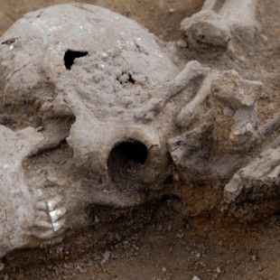 'Exceptionally high' number of decapitated bodies found at Roman burial site