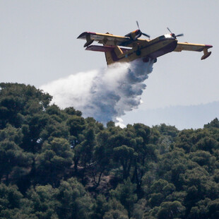 Πυρκαγιά στα Μέγαρα: Καίγεται δασική έκταση κοντά στο πεδίο βολής