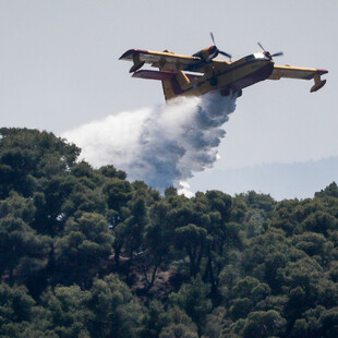 Θεσσαλονίκη: Φωτιά σε δασική έκταση στον δήμο Θέρμης- Ρίψεις νερού από αεροσκάφη