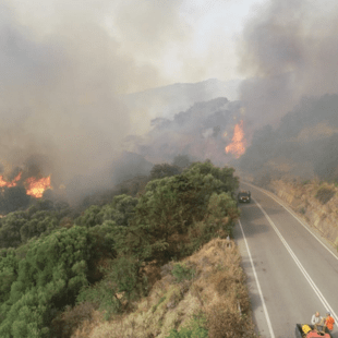 Φωτιά στη Χίο: Εκκενώθηκαν τρεις οικισμοί - Οι φλόγες απείλησαν σπίτια στο χωριό Κατάβαση