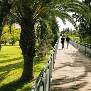 Γιατί η Κύπρος αποτελεί την ιδανική επιλογή για σπουδές στο εξωτερικό