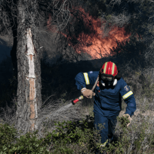 «Συναγερμός» για πυρκαγιά στη Χασιά Αττικής: Στο σημείο ισχυρές πυροσβεστικές δυνάμεις