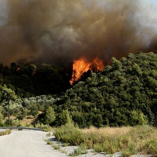 Φωτιά στην Αχαΐα: Εσπευσμένα στη Ζήρια ο Χαρδαλιάς- Καίγονται σπίτια, εκκενώθηκαν οικισμοί
