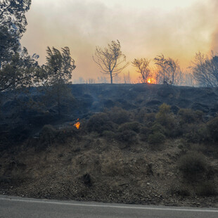 Πυροσβεστική: 60 πυρκαγιές σε 24 ώρες- Δύσκολη νύχτα στη Ρόδο, εκκενώσεις οικισμών, διακοπές ρεύματος