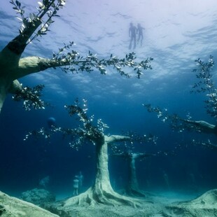 jason decaires taylor submerges intricate sculptural forest in the waters of ayia napa, cyprus