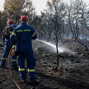 Πυρκαγιά στη Ρόδο: Ενεργοποιήθηκε ο «Κοπέρνικος» για την άμεση χαρτογράφηση της περιοχής