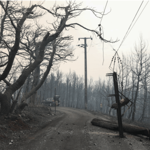 Φωτιά: Χωρίς ρεύμα περιοχές σε Αττική και Εύβοια- Πού παρατηρούνται προβλήματα