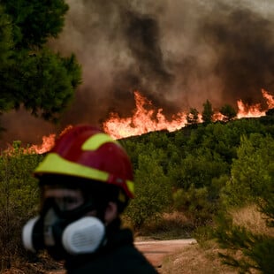 Φωτιά αυτή την ώρα στο Σούνιο - Κοντά σε ξενοδοχείο